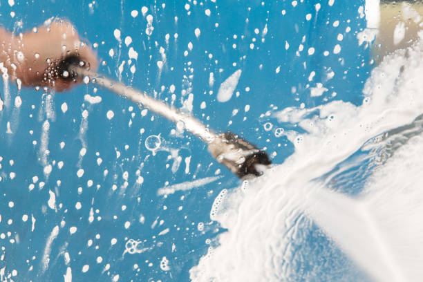 Best Animal Enclosure Cleaning  in Dunellen, NJ