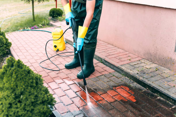 Best Dumpster Area Cleaning  in Dunellen, NJ